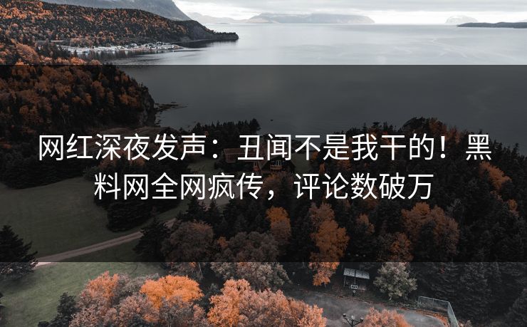 网红深夜发声：丑闻不是我干的！黑料网全网疯传，评论数破万