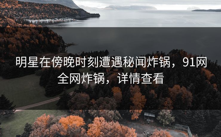 明星在傍晚时刻遭遇秘闻炸锅，91网全网炸锅，详情查看