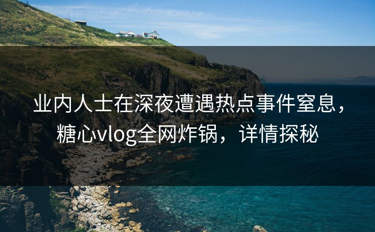 业内人士在深夜遭遇热点事件窒息，糖心vlog全网炸锅，详情探秘